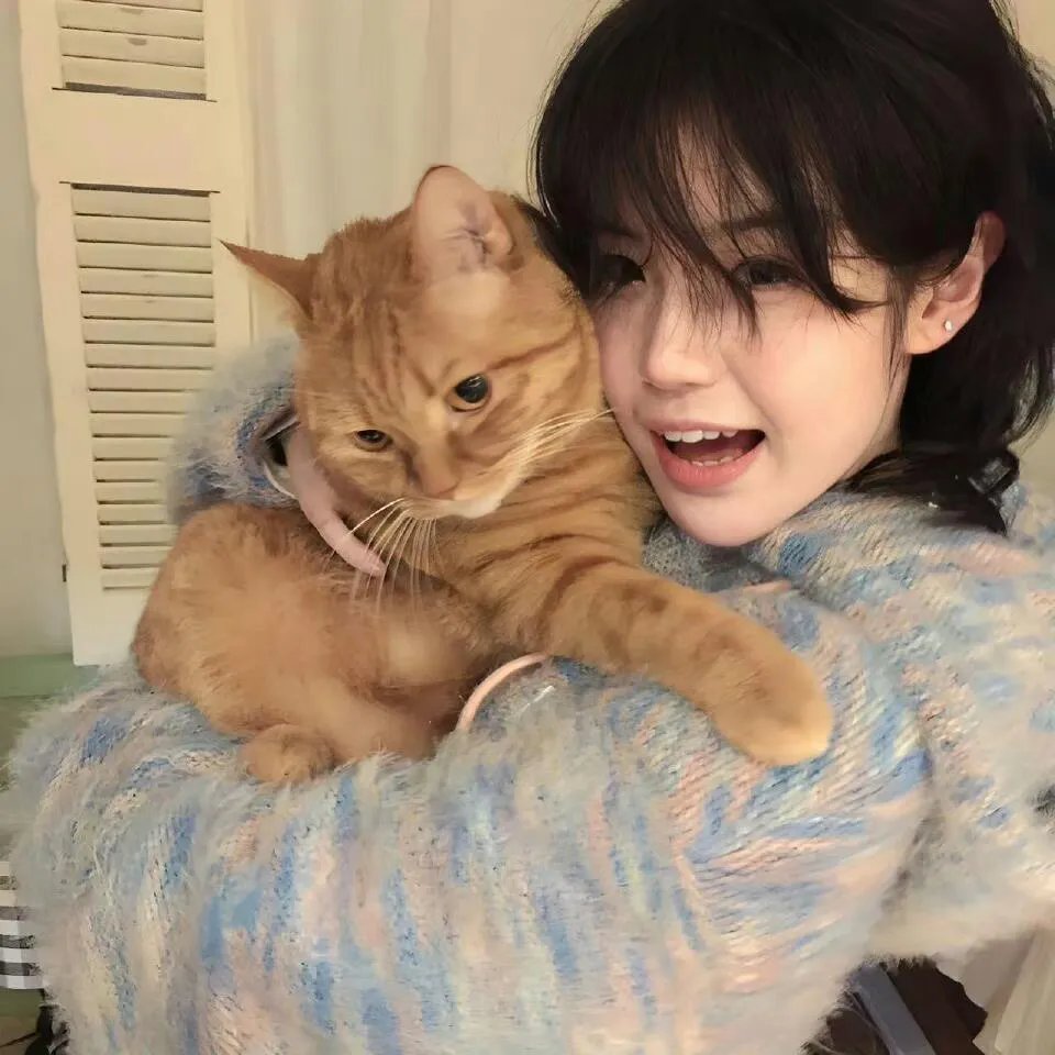 烟尘里恰逢遇见你